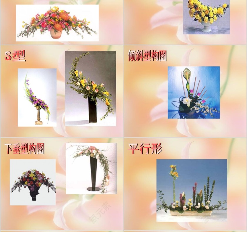 彩色简约大气艺术插花培训课件PPT第12张