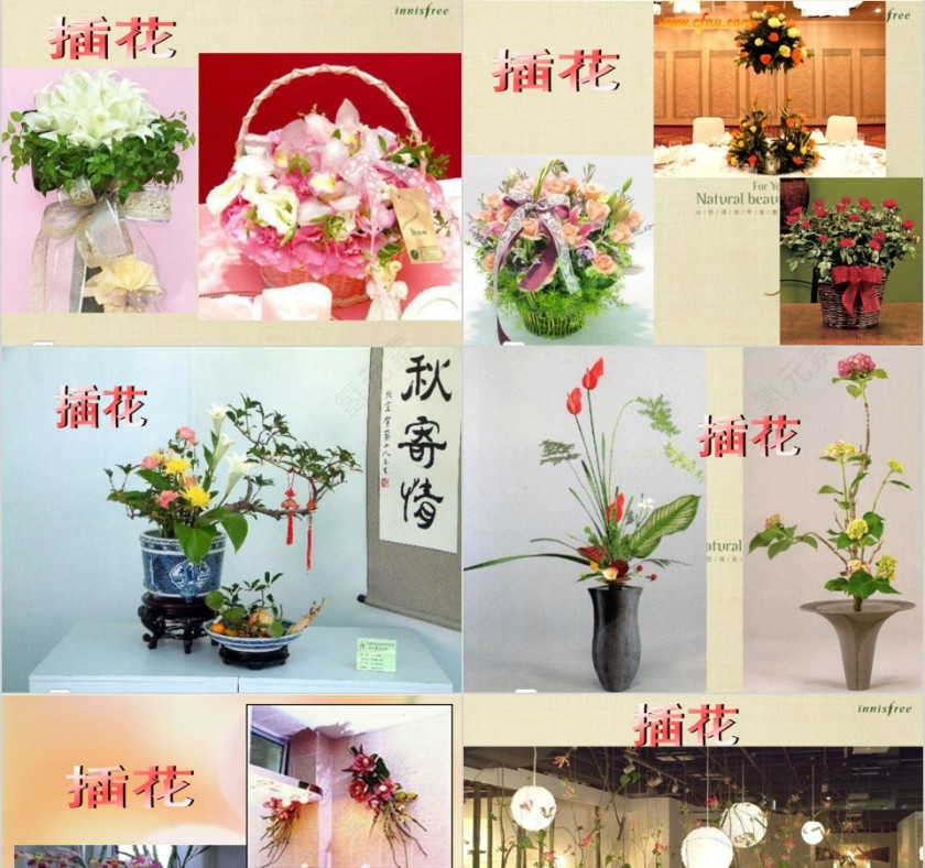 彩色简约大气艺术插花培训课件PPT第3张