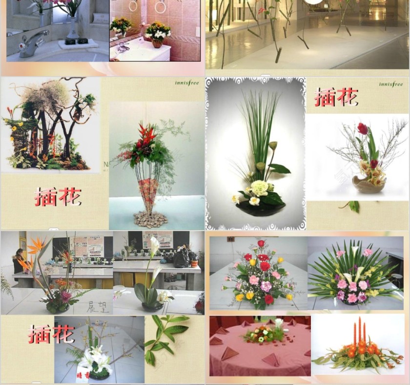 彩色简约大气艺术插花培训课件PPT第4张