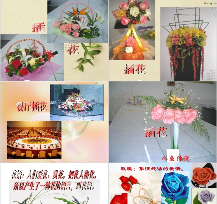 彩色简约大气艺术插花培训课件PPT第5张
