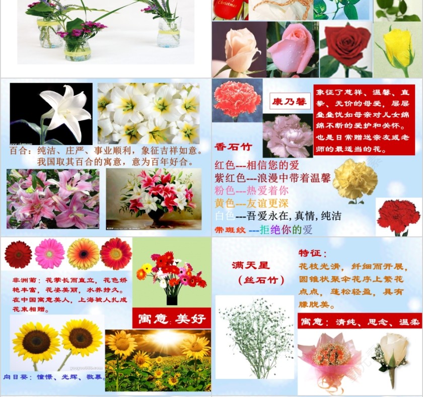 彩色简约大气艺术插花培训课件PPT第6张