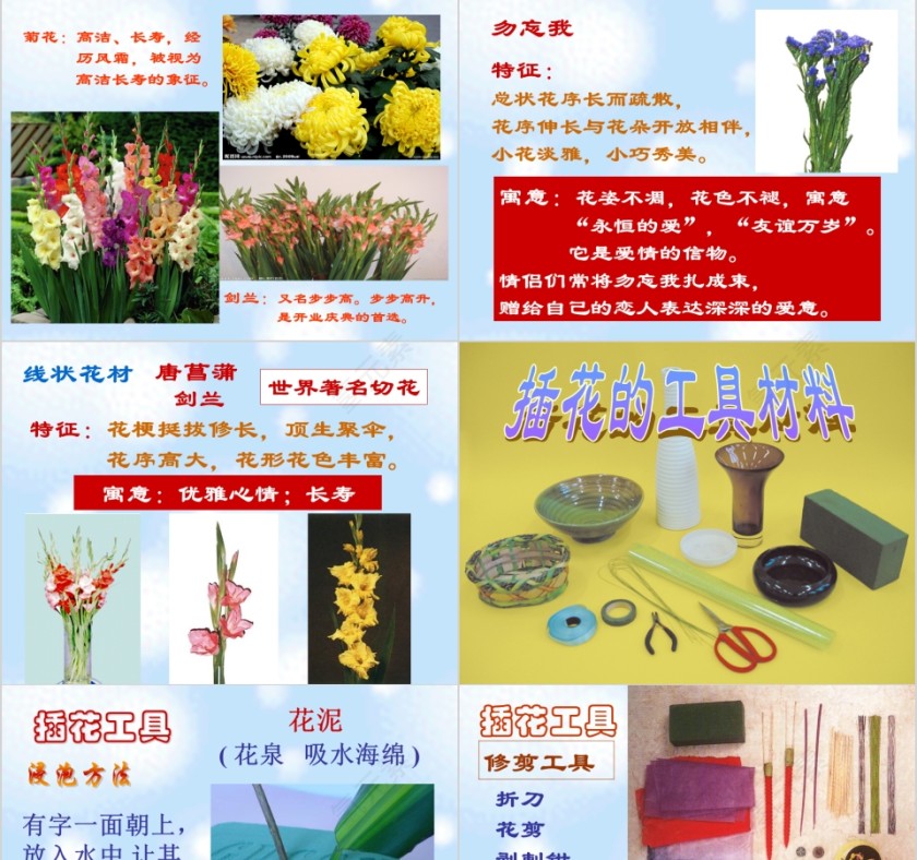 彩色简约大气艺术插花培训课件PPT第7张