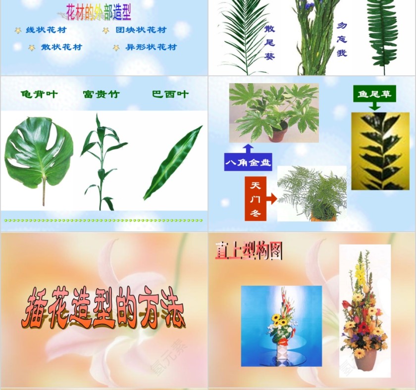 彩色简约大气艺术插花培训课件PPT第10张