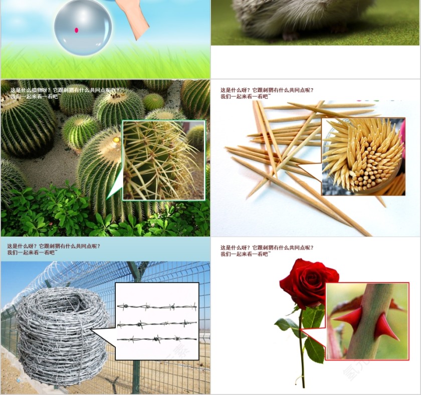 幼儿园创意美术刺猬ppt第2张