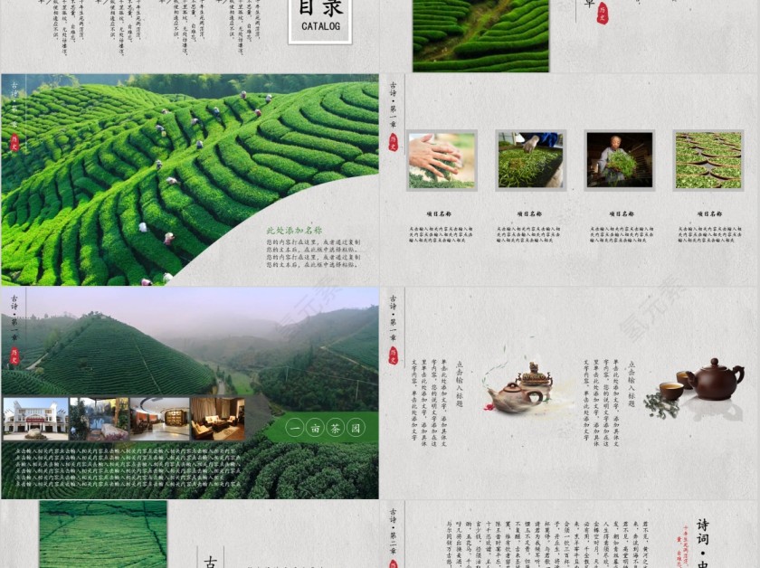 国风荷花国学教育通用简约ppt第2张