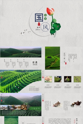 国风荷花国学教育通用简约ppt