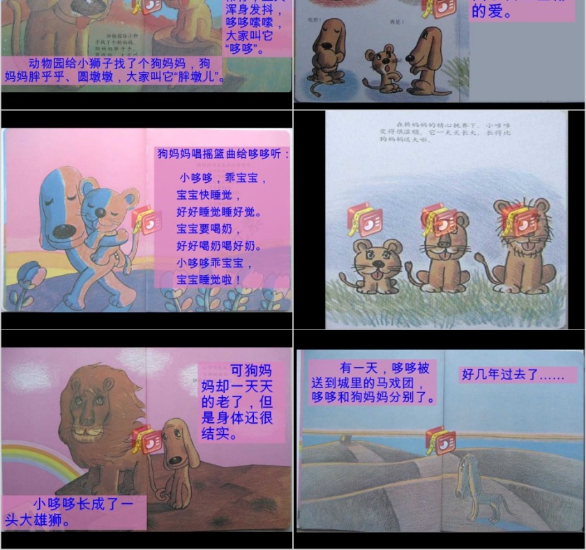 幼儿园大班优质课温情的狮子教学课件PPT  第2张