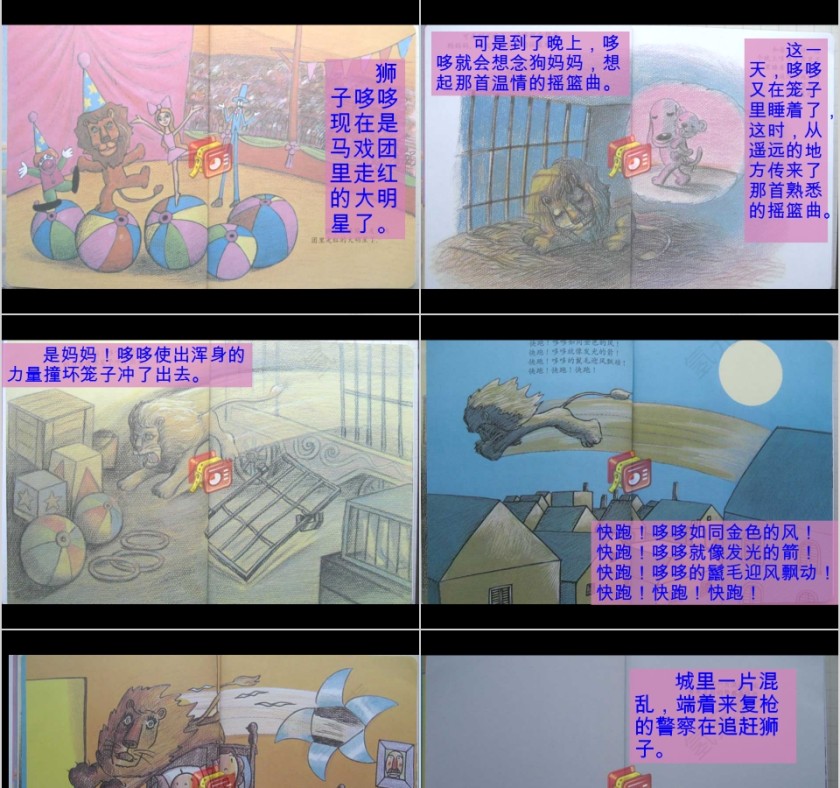 幼儿园大班优质课温情的狮子教学课件PPT  第3张