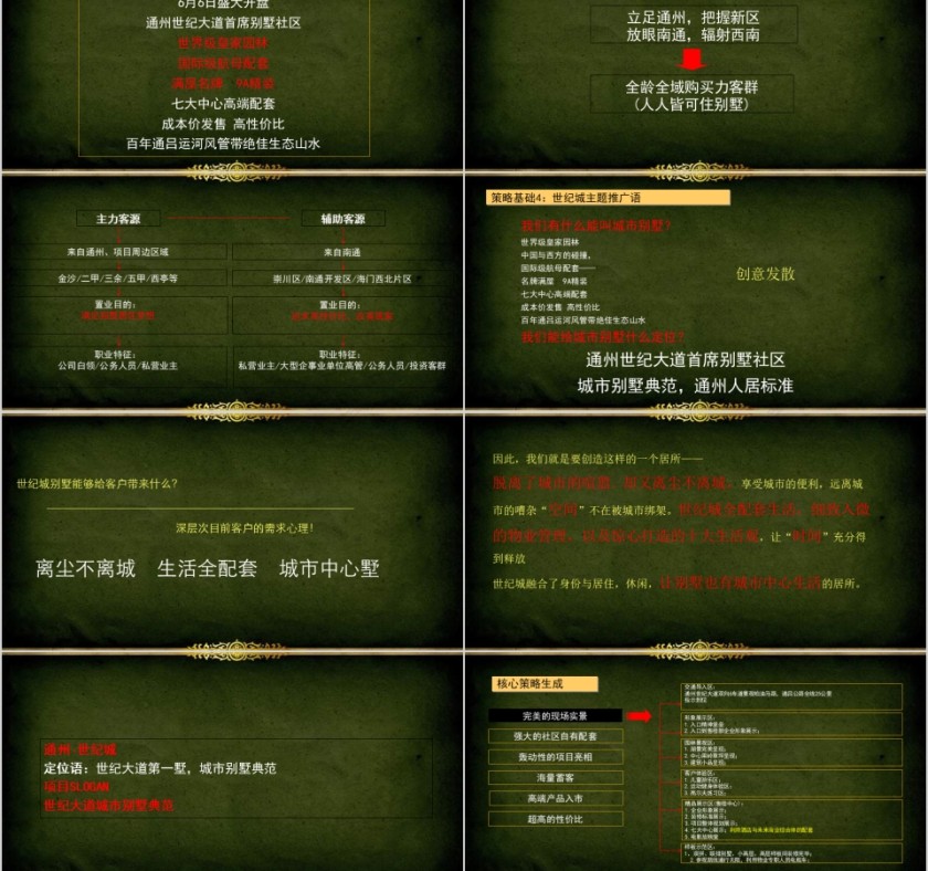 房地产别墅营销策略报告ppt第3张