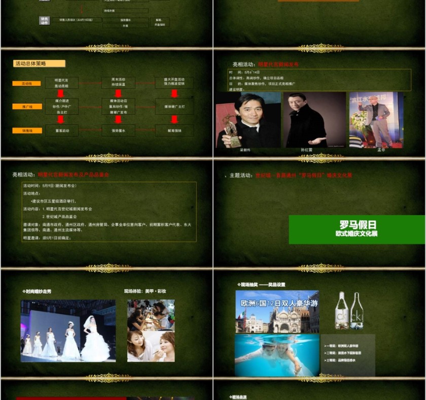 房地产别墅营销策略报告ppt第5张