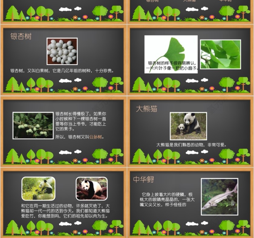 小学语文课件PPT模板 读书分享教师说课老师讲课古诗寓言公开课第3张