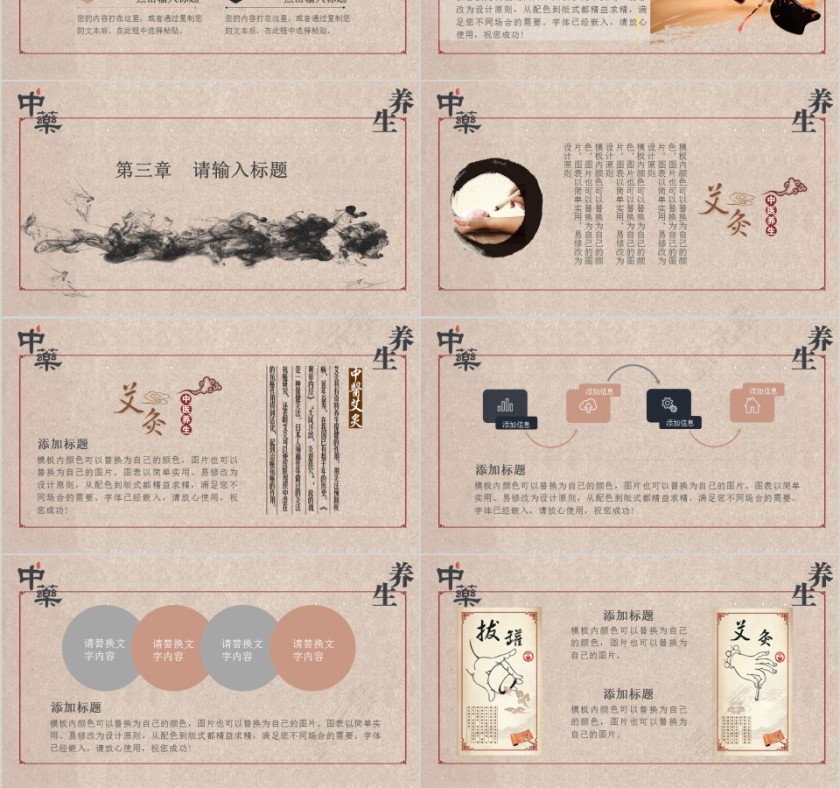 中国传统医药PPT模板第3张