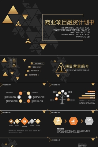 黑色简约大气商业项目融资计划书