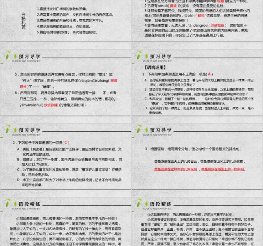 八年级语文课件《白杨礼赞》PPT第2张