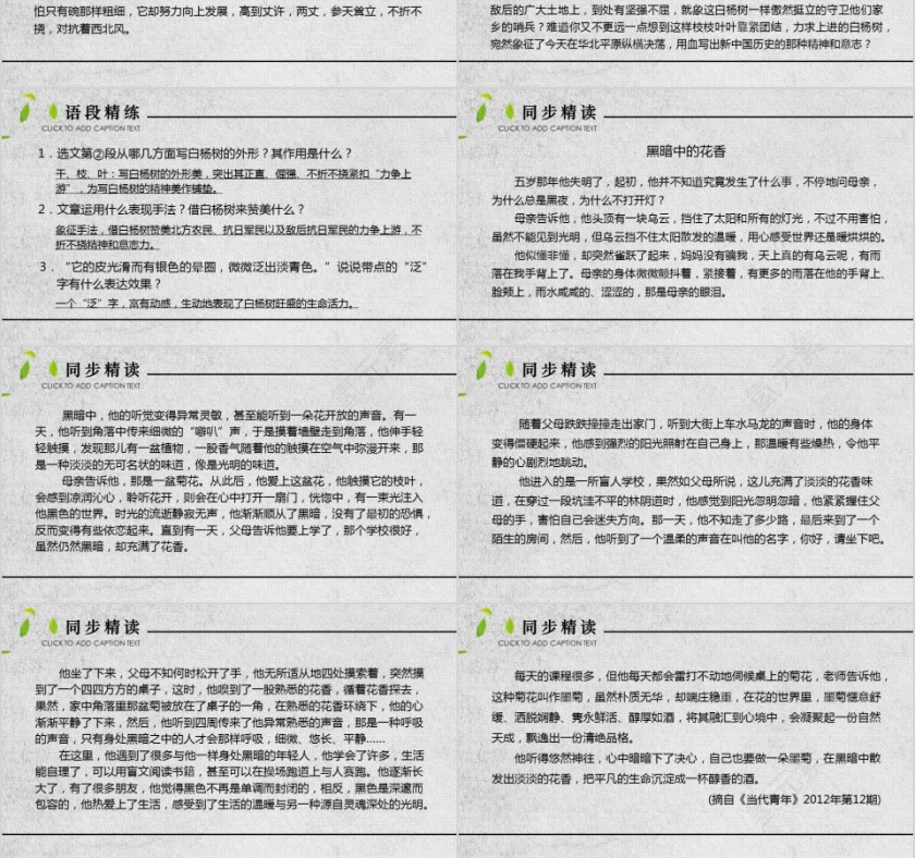 八年级语文课件《白杨礼赞》PPT第3张