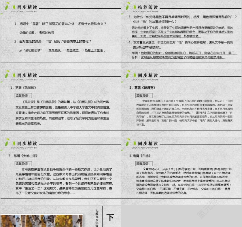 八年级语文课件《白杨礼赞》PPT第4张