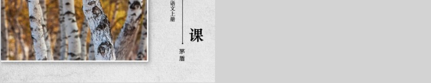 八年级语文课件《白杨礼赞》PPT第5张