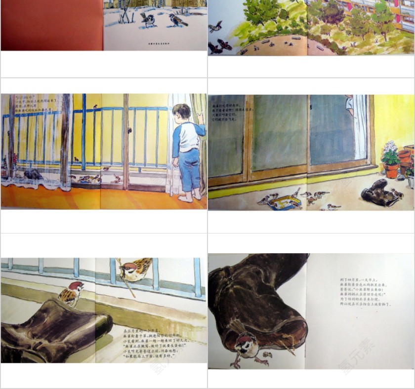 雨靴里的麻雀幼儿园绘本教育课件第2张