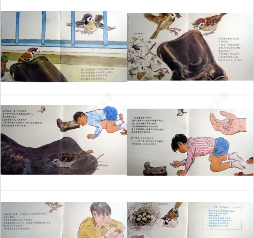 雨靴里的麻雀幼儿园绘本教育课件第3张