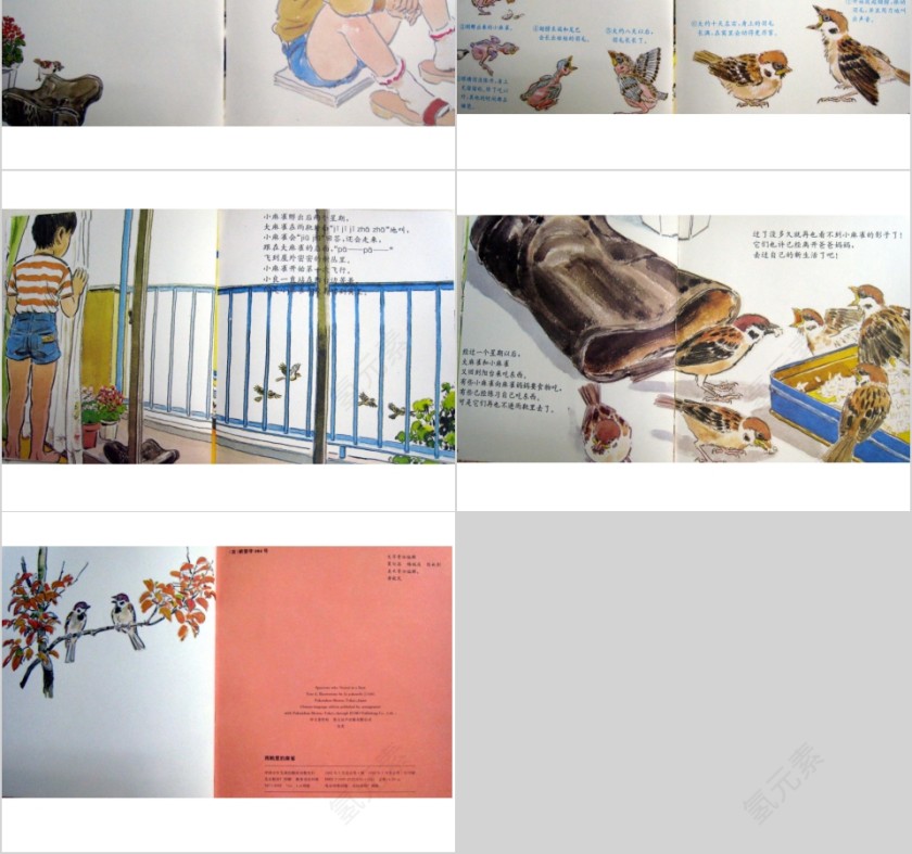 雨靴里的麻雀幼儿园绘本教育课件第4张