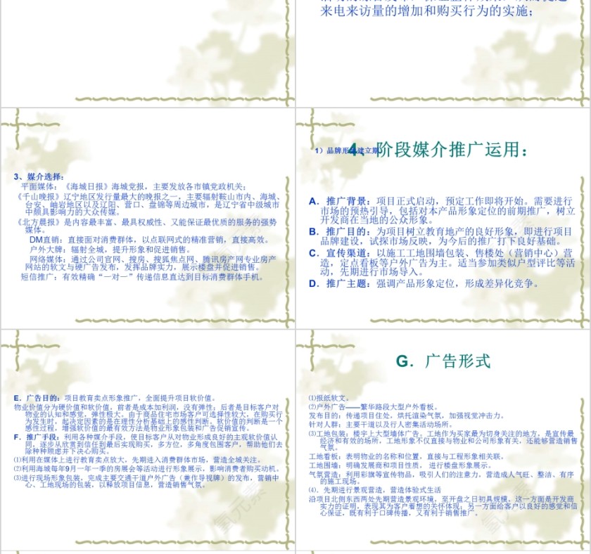 房地产项目品牌策略及推广方案PPT第10张