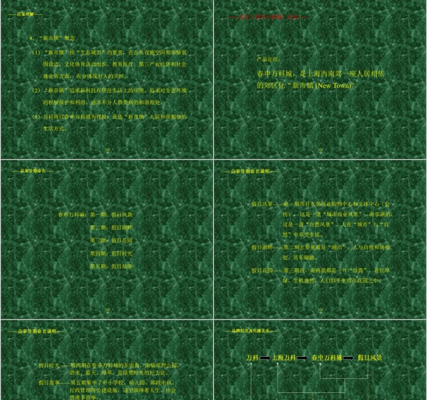 房地产总体策划案PPT第3张