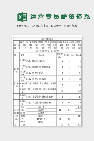 旗舰店运营专员薪资体系表excel模板