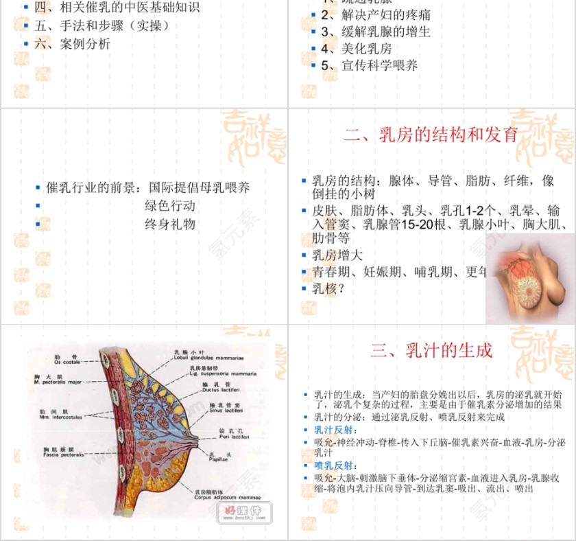 高级催乳师培训课ppt模板第2张