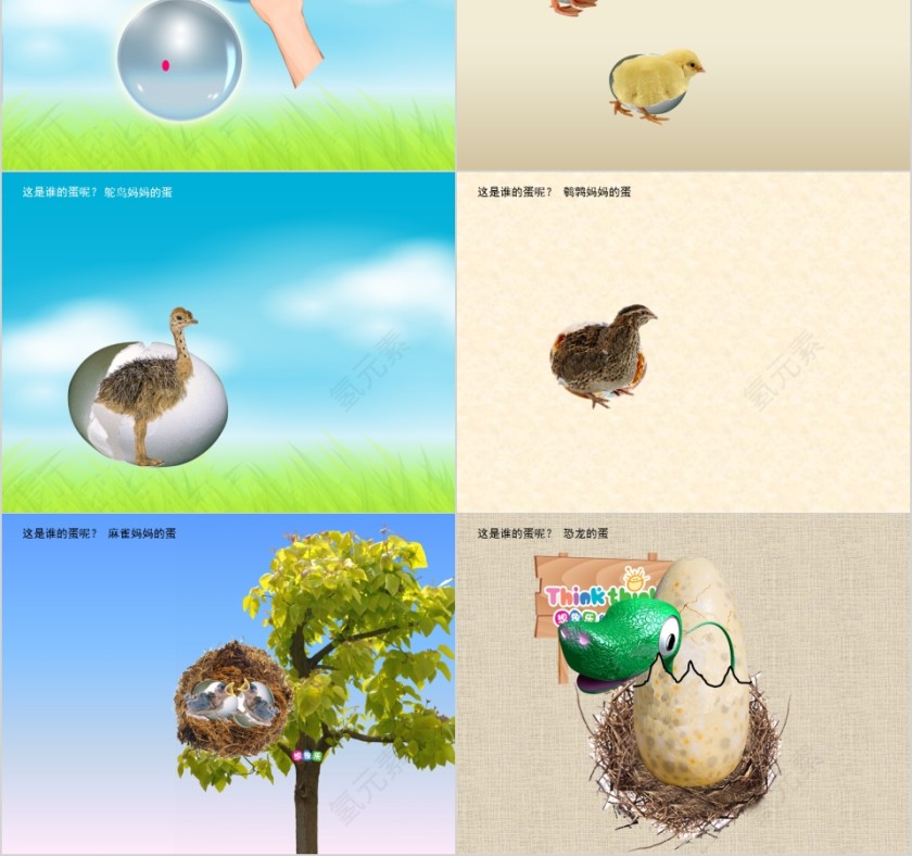 幼儿园创意美术鸡妈妈和小鸡ppt第2张