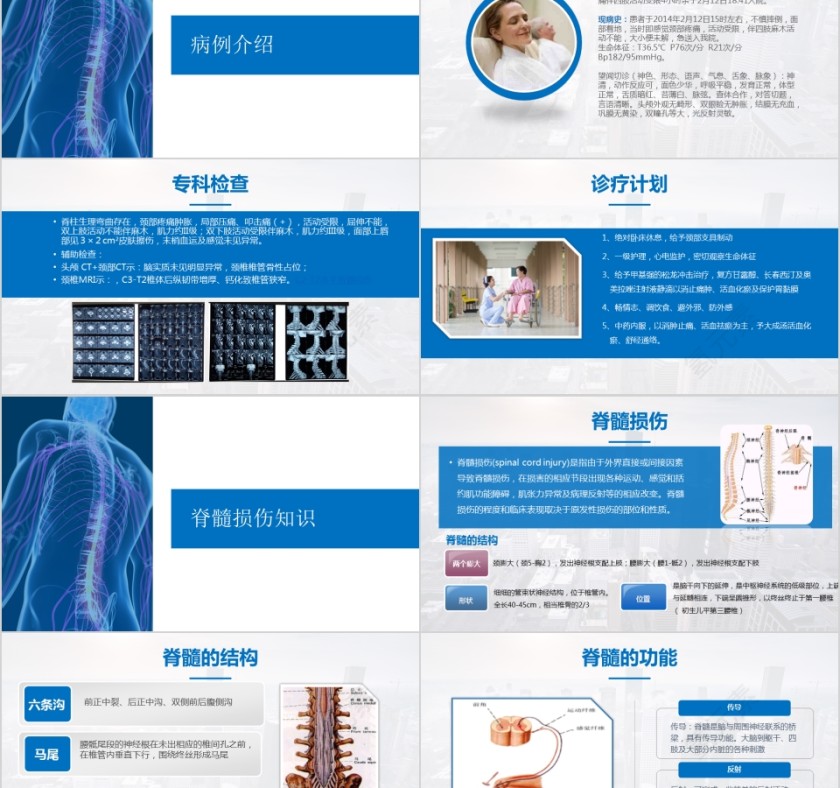 脊髓损伤知识护理查房指导wps幻灯片第2张
