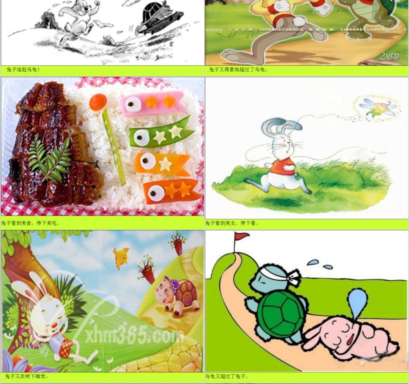 简约清新幼儿园故事龟兔赛跑ppt模板 第4张