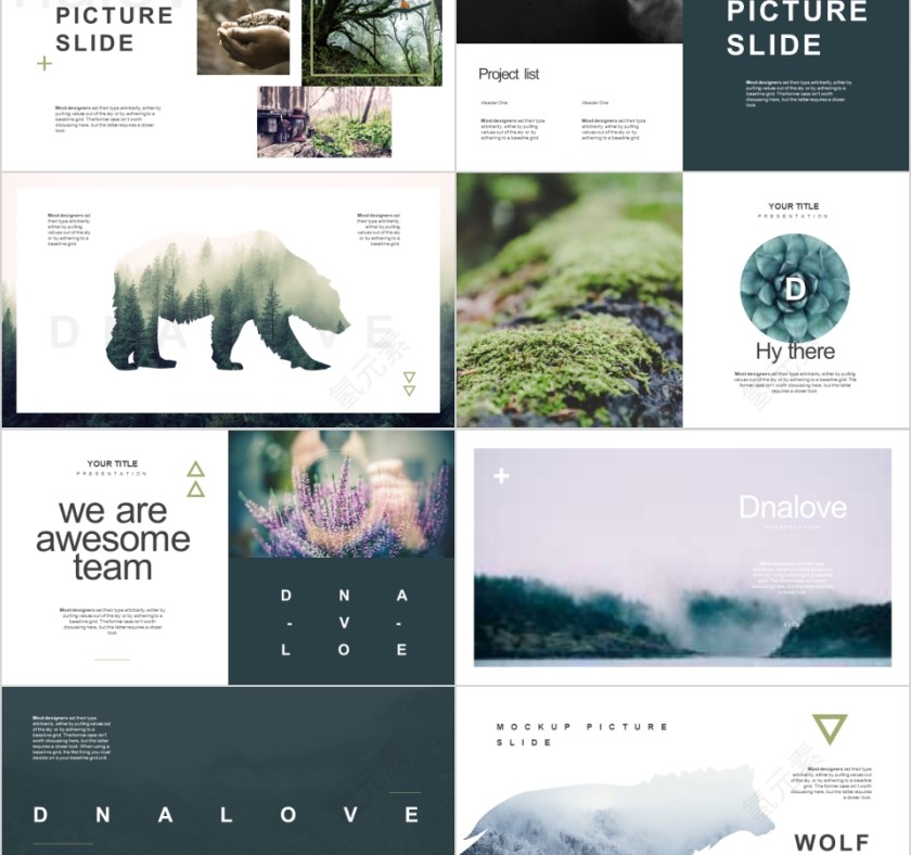 森林物语主题创意工作PPT模板第2张