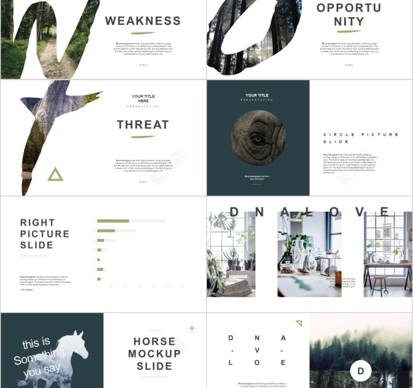 森林物语主题创意工作PPT模板第5张