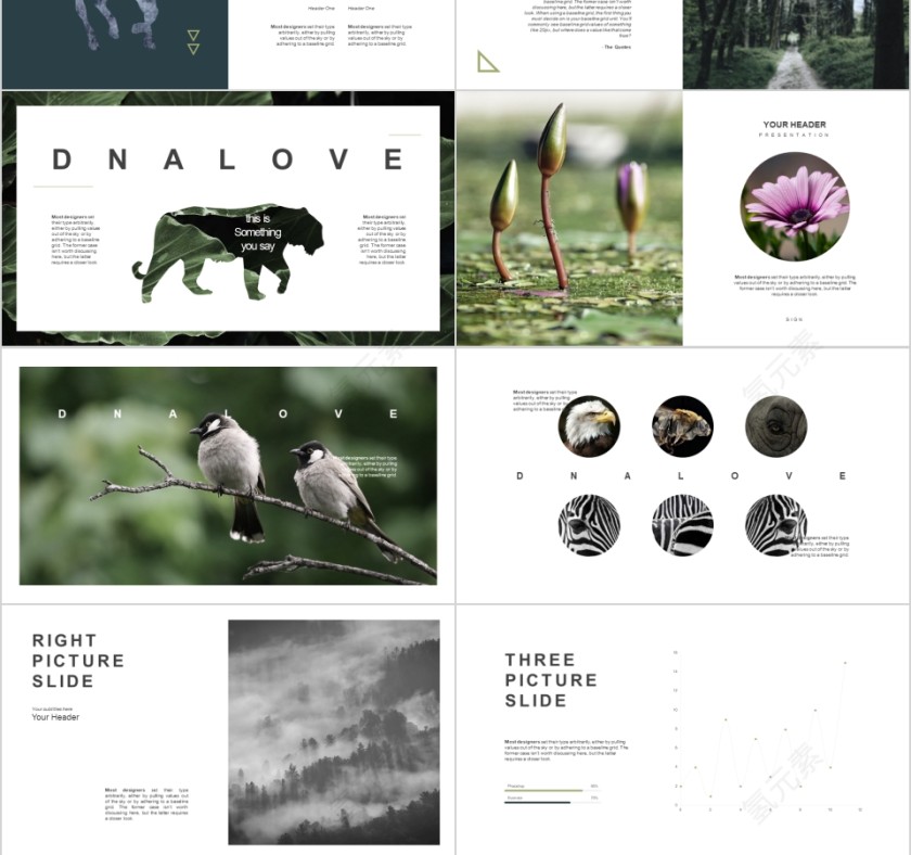 森林物语主题创意工作PPT模板第6张