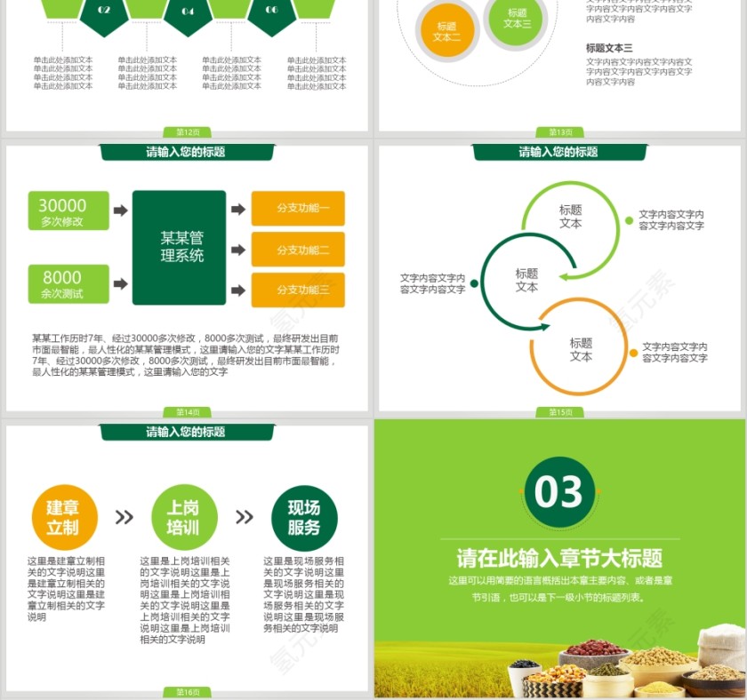 有机农业绿色食品销售方案模板PPT第4张