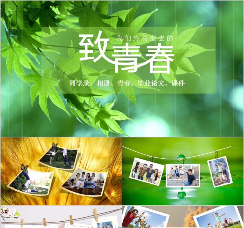 同学录、相册、青春、毕业论文、课件PPT第1张