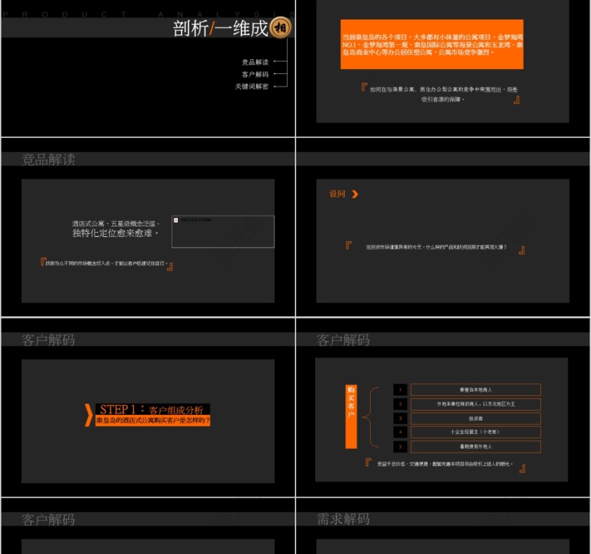 房地产公寓项目营销策略PPT第4张