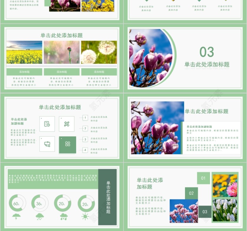 中国风清明节踏青PPT模板第3张