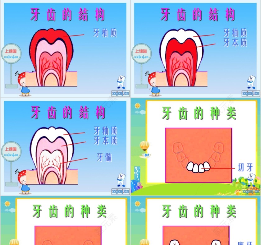 我们爱刷牙幼儿园健康教育PPT第3张