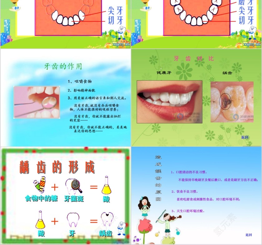 我们爱刷牙幼儿园健康教育PPT第4张