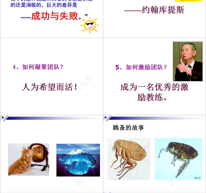 打造狼性销售团队销售团队建设与管理培训PPT模板第8张