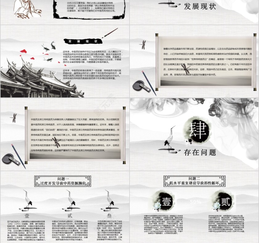 世界传统医药日PPT第3张