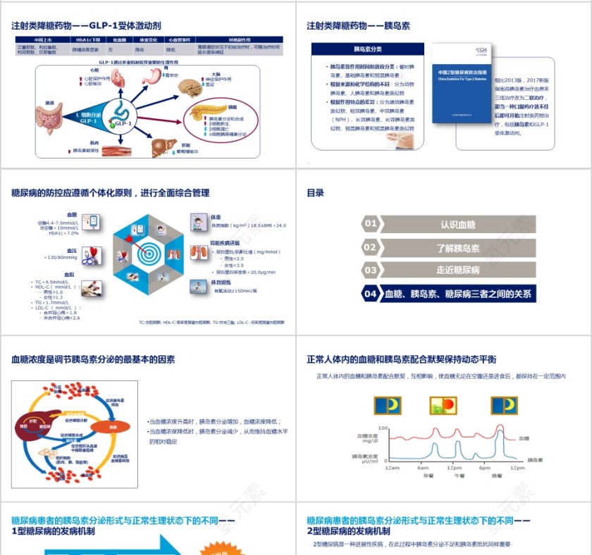 血糖、胰岛素和糖尿病之间的关系ppt模板第4张