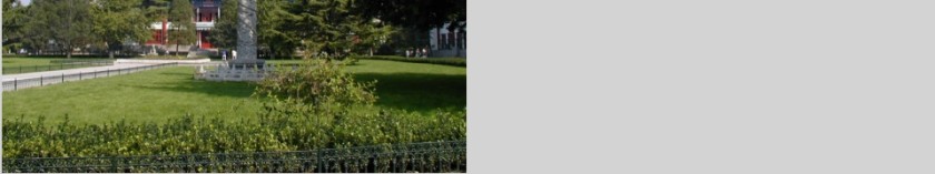 成功家庭教育课程幼儿与小学低年级家长版第4张