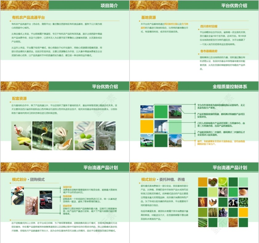 有机农业产品报告ppt 公司报表第2张