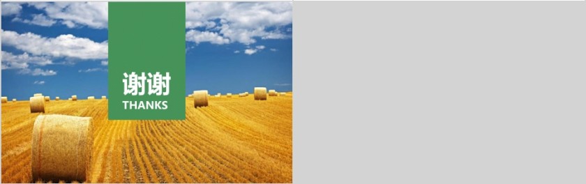 有机农业产品报告ppt 公司报表第5张