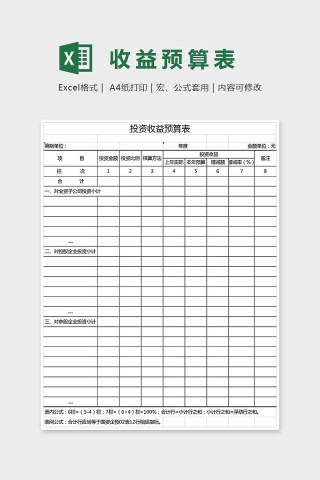 精美大方收益预算统计表Excel