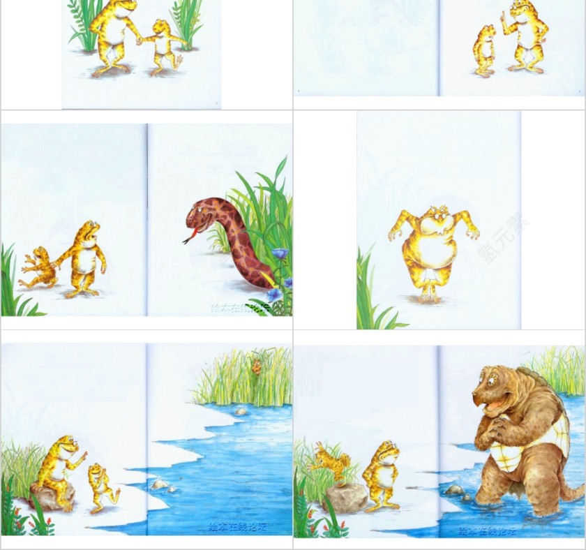 幼儿园大班优质课蛤蟆爷爷的秘诀教学课件PPT  第2张