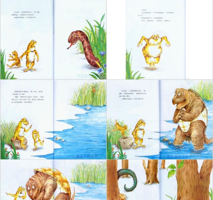 幼儿园大班优质课蛤蟆爷爷的秘诀教学课件PPT  第5张