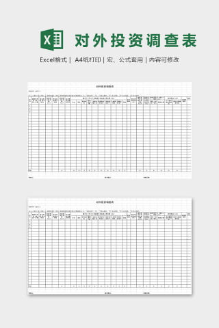 专业公司对外投资调查表excel模板